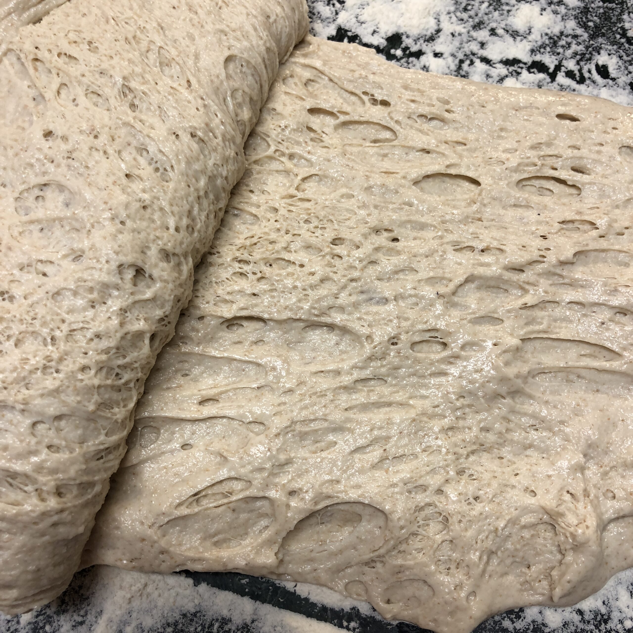 Red de gluten de la masa fermentada en la nevera 24 horas lista para formar.