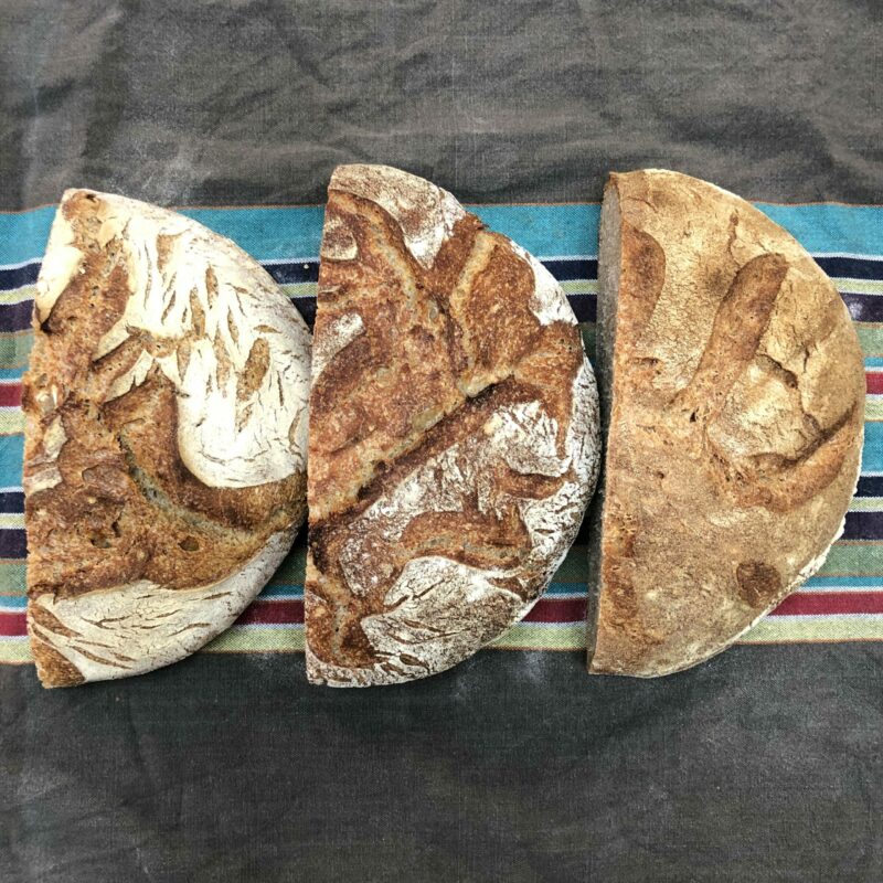 Resultados en corteza de los distintos tipos de cocción de un pan sin amasar, en combo de hierro, con cazuela de acero y sin tapar.