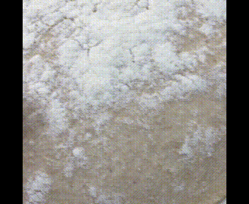 prueba del dedo para comprobar si la masa está lista para hornear