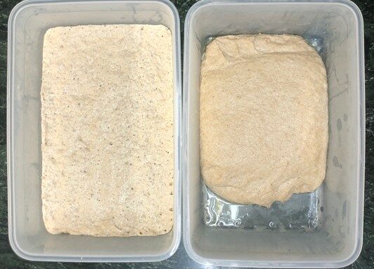 A la izquierda masa fermentada a temp. ambiente. A la derecha masa con harina de fuerza fermentada en la nevera 12h.